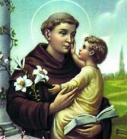 santo do dia14