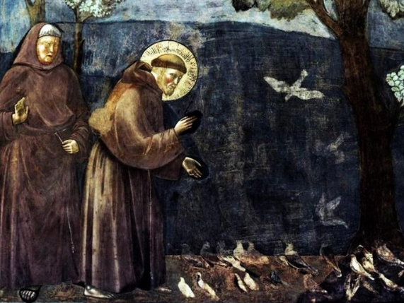 Por que São Francisco é o protetor dos animais?
