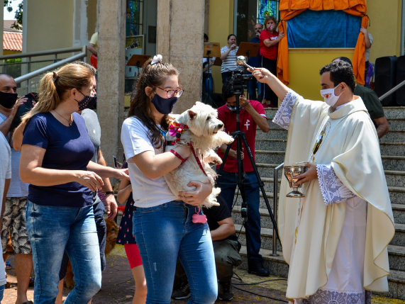 Tradicional missa com benção dos animais será realizada neste domingo (03/10)